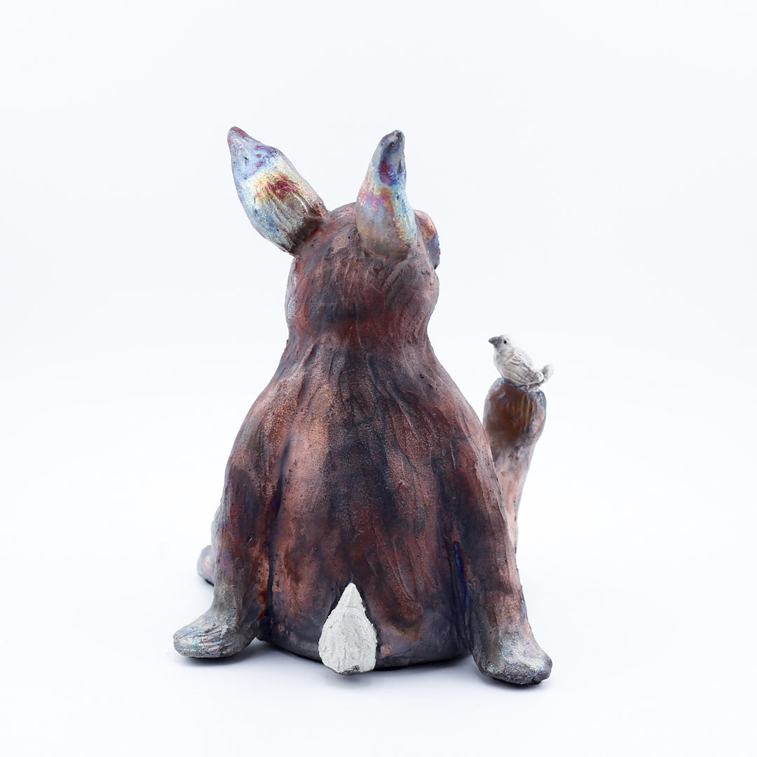 Rabbit With Bird