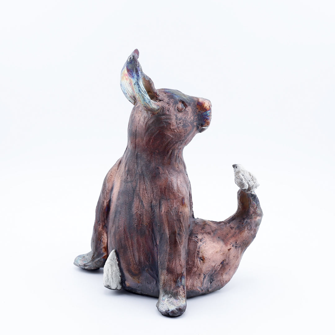 Rabbit With Bird