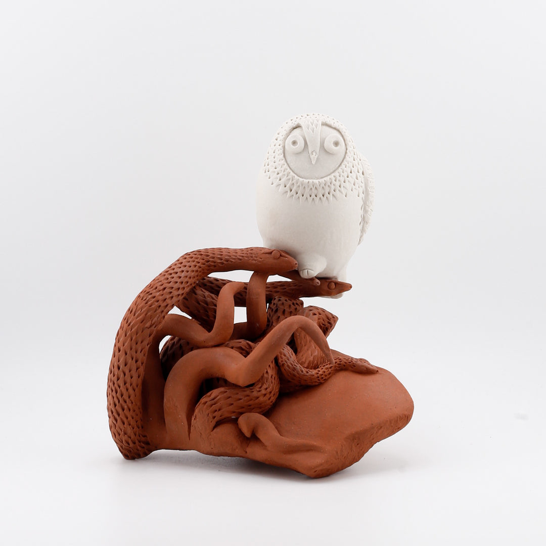 Watchers Perch with Their Serpent Friends - Owl with snakes #1
