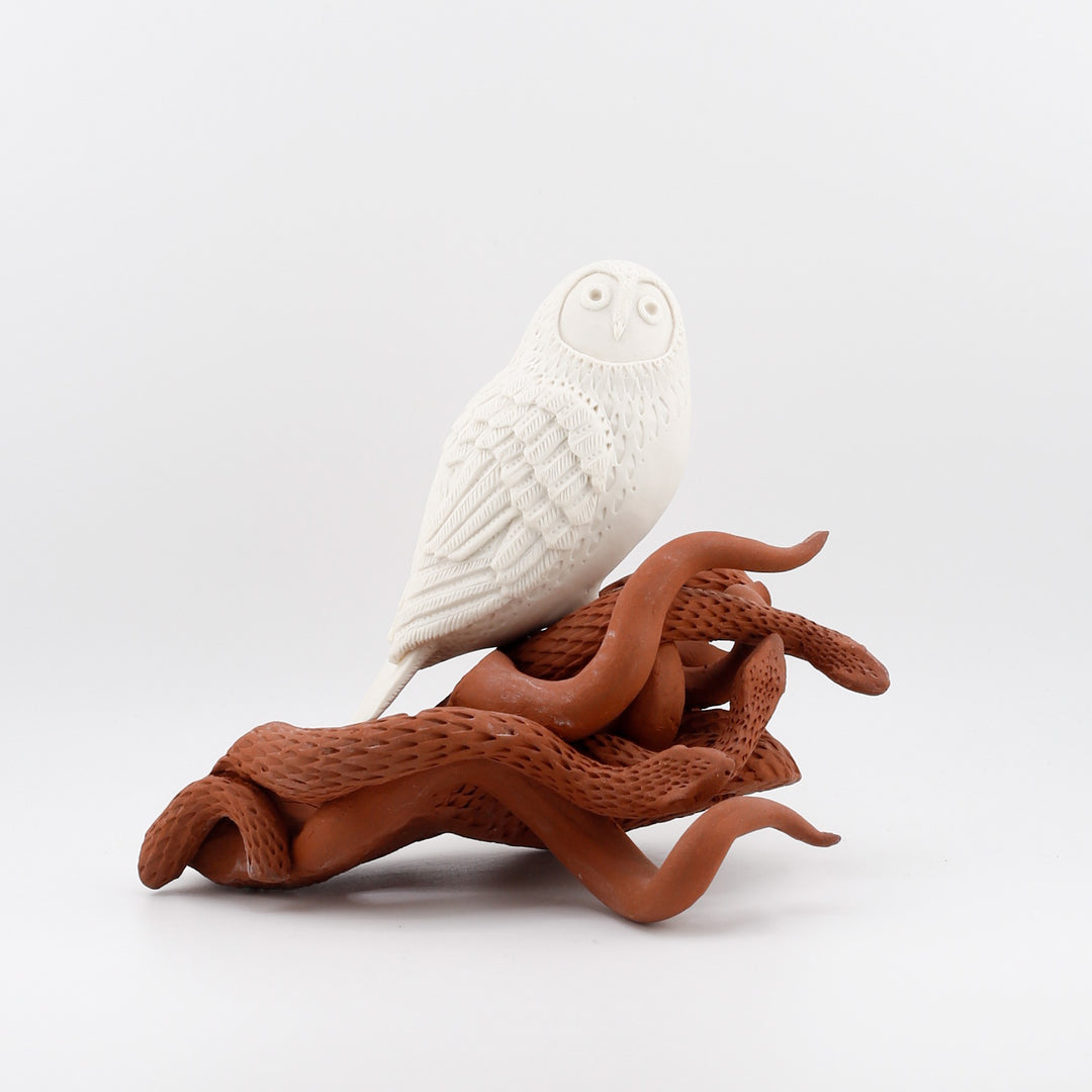 Watchers Perch with Their Serpent Friends - Owl with snakes #3