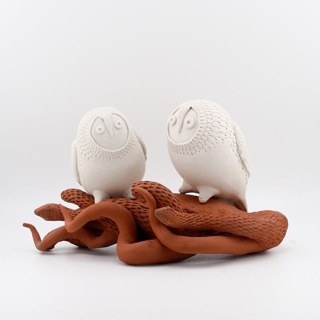Watchers Perch with Their Serpent Friends - Two owls with snakes #5