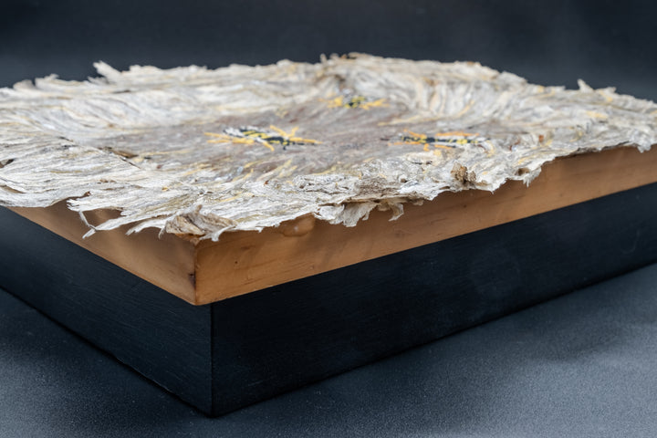 Ecollaboration