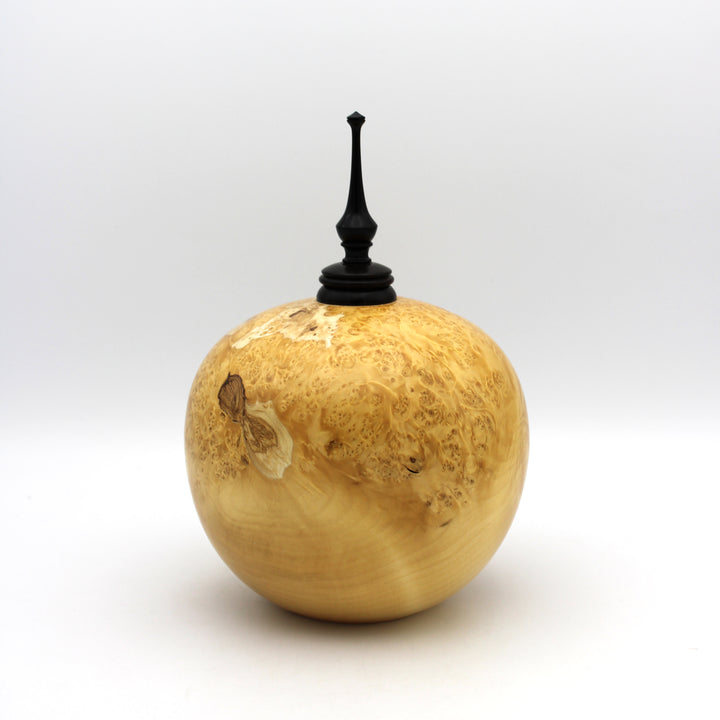 Manitoba Maple Burl Sculptural Vessel/ Small Urn