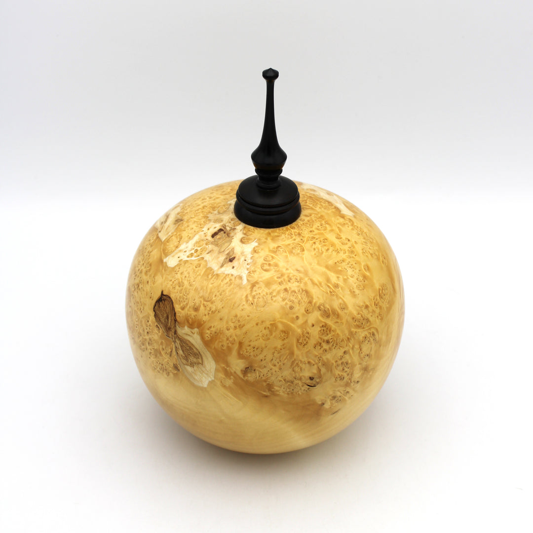 Manitoba Maple Burl Sculptural Vessel/ Small Urn
