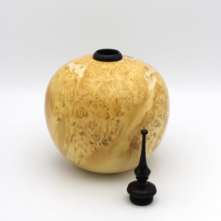 Manitoba Maple Burl Sculptural Vessel/ Small Urn