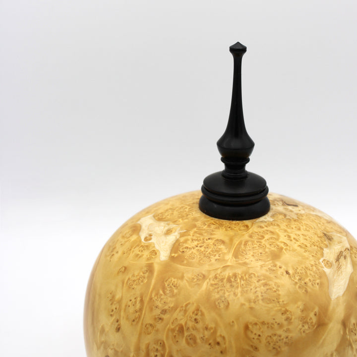 Manitoba Maple Burl Sculptural Vessel/ Small Urn