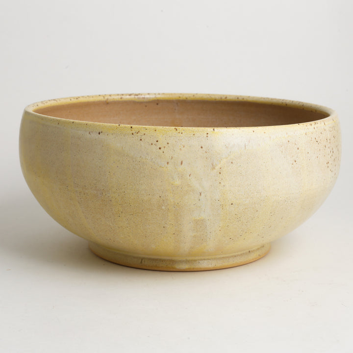 Bowl, Round, Dragonfly