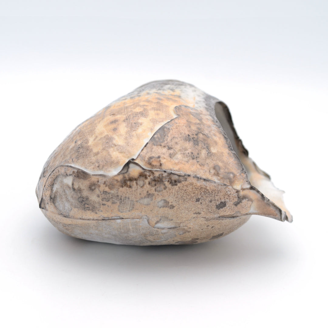 Stillness Rock 6