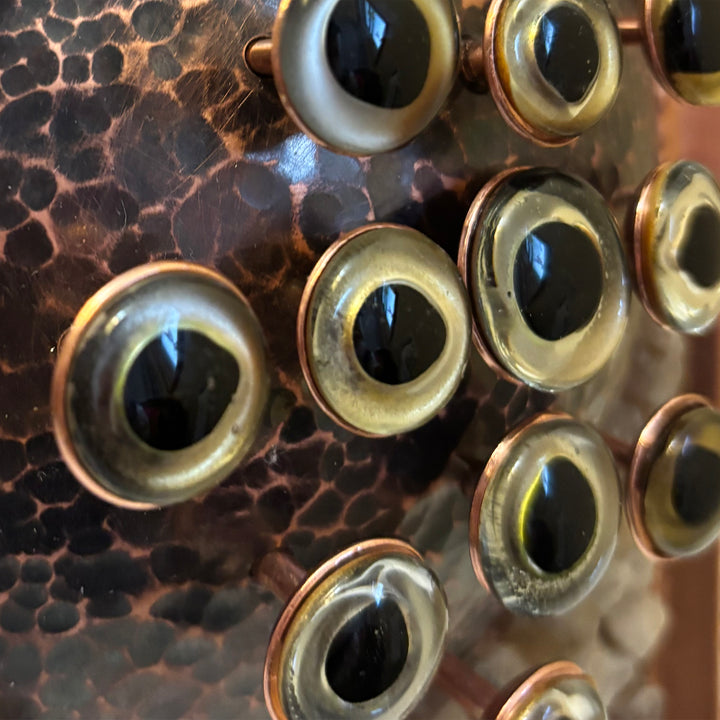 Clustered Sight