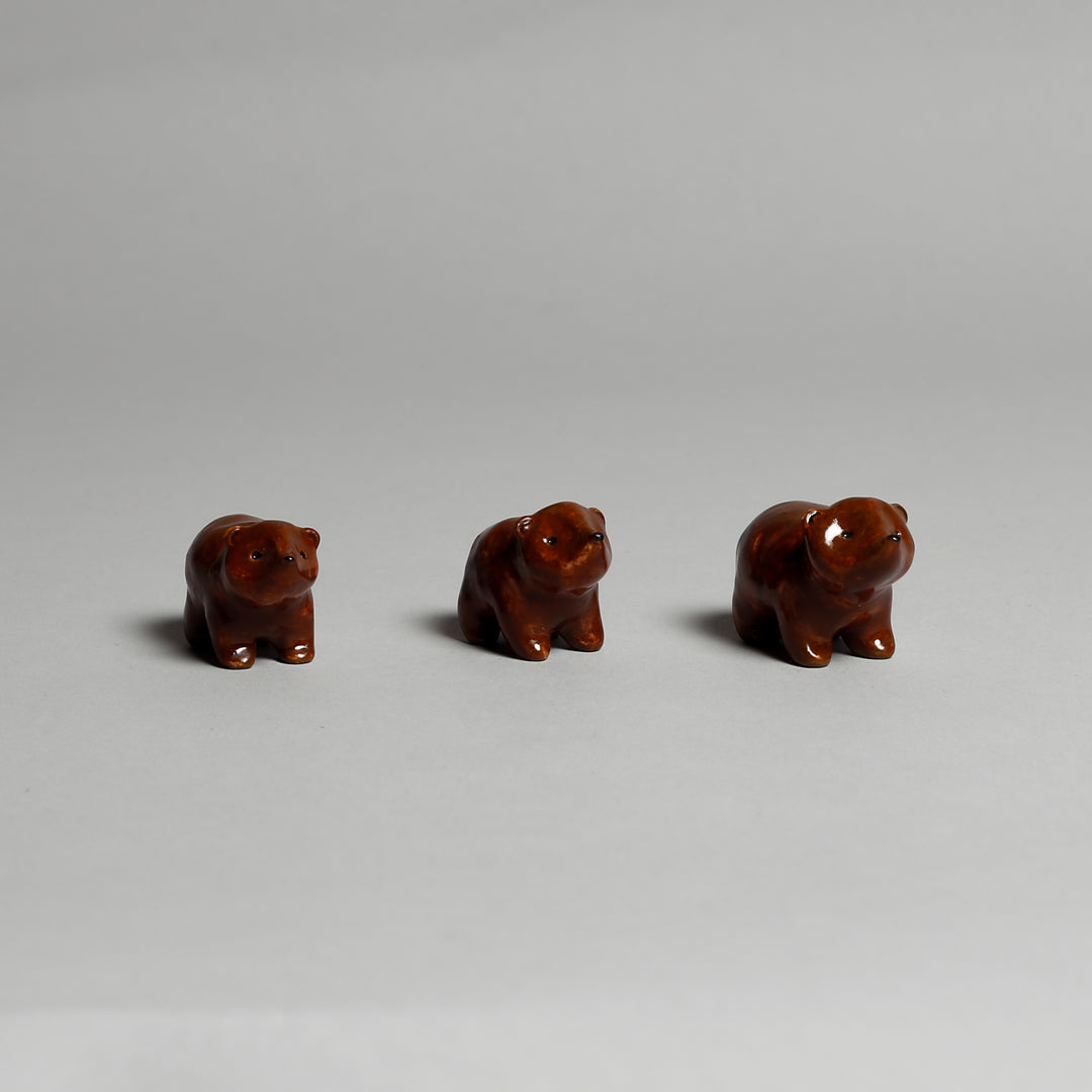 Bears
