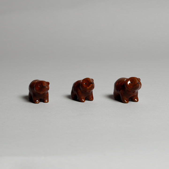 Bears